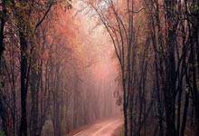 王艺迪对郑怡静7连胜!3-0横扫对手晋级,国乒锁定1个八强席位.