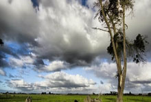 意媒：斯维拉尔想续约后获万欧年薪，蓝军拜仁等队在关注.