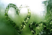 悲剧！印度举重冠军被杠铃压脖不幸身亡江苏新闻广播.