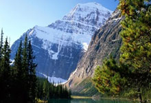 九游娱乐：湖人转正古德温！雷迪什从首发到被裁仅用半个赛季，NBA生涯恐将结束.