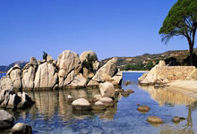 九游娱乐:湖人转正古德温!雷迪什从首发到被裁仅用半个赛季,NBA生涯恐将结束.